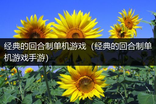 经典的回合制单机游戏（经典的回合制单机游戏手游）