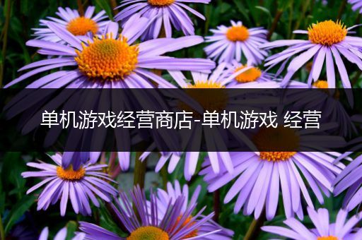 单机游戏经营商店-单机游戏 经营