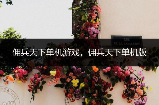 佣兵天下单机游戏，佣兵天下单机版
