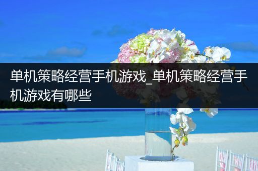 单机策略经营手机游戏_单机策略经营手机游戏有哪些
