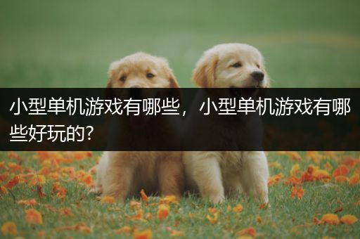 小型单机游戏有哪些，小型单机游戏有哪些好玩的?