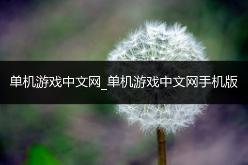 单机游戏中文网_单机游戏中文网手机版