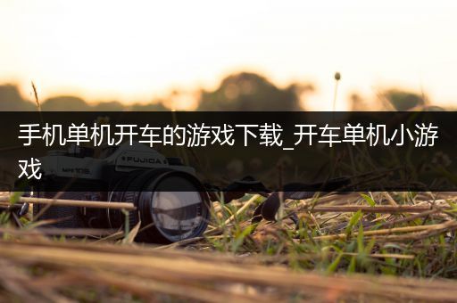 手机单机开车的游戏下载_开车单机小游戏