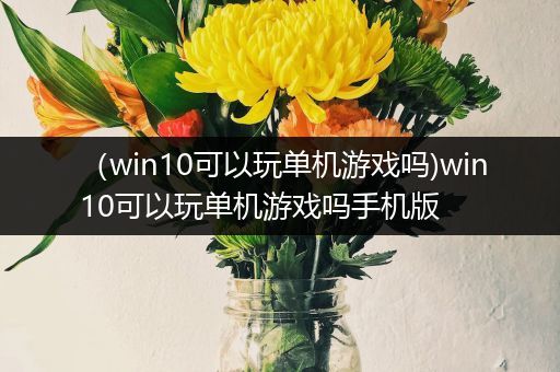 （win10可以玩单机游戏吗)win10可以玩单机游戏吗手机版