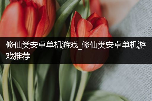 修仙类安卓单机游戏_修仙类安卓单机游戏推荐