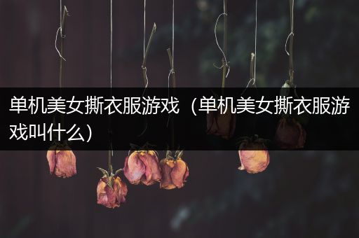 单机美女撕衣服游戏（单机美女撕衣服游戏叫什么）