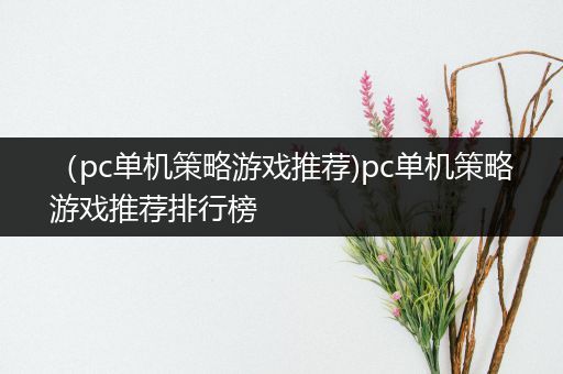 （pc单机策略游戏推荐)pc单机策略游戏推荐排行榜