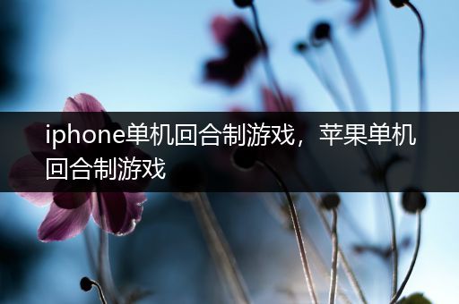 iphone单机回合制游戏，苹果单机回合制游戏