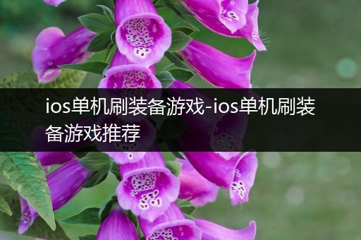 ios单机刷装备游戏-ios单机刷装备游戏推荐
