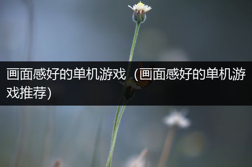 画面感好的单机游戏（画面感好的单机游戏推荐）