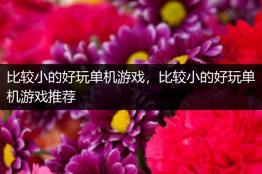 比较小的好玩单机游戏，比较小的好玩单机游戏推荐