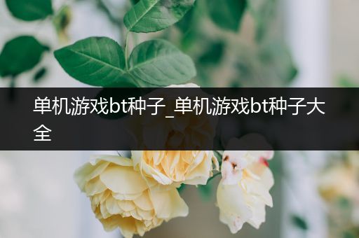 单机游戏bt种子_单机游戏bt种子大全