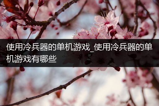 使用冷兵器的单机游戏_使用冷兵器的单机游戏有哪些