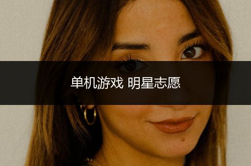 单机游戏 明星志愿