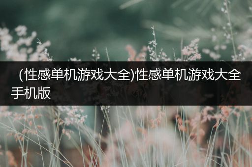 （性感单机游戏大全)性感单机游戏大全手机版