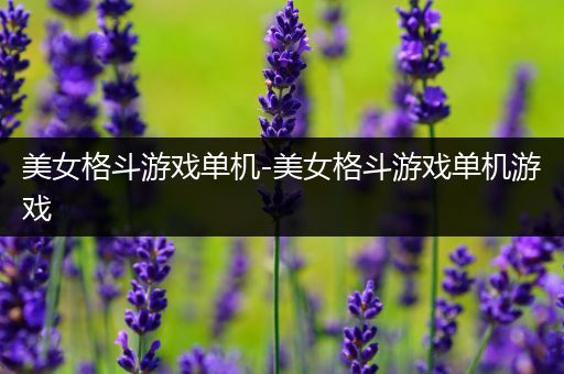美女格斗游戏单机-美女格斗游戏单机游戏