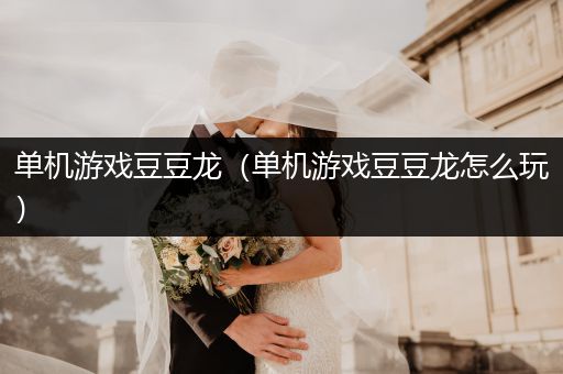 单机游戏豆豆龙（单机游戏豆豆龙怎么玩）