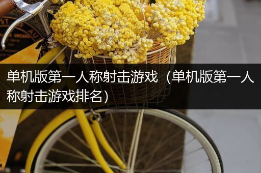 单机版第一人称射击游戏（单机版第一人称射击游戏排名）