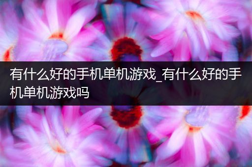 有什么好的手机单机游戏_有什么好的手机单机游戏吗