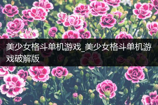 美少女格斗单机游戏_美少女格斗单机游戏破解版