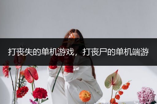 打丧失的单机游戏，打丧尸的单机端游