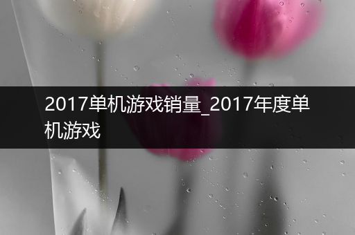 2017单机游戏销量_2017年度单机游戏
