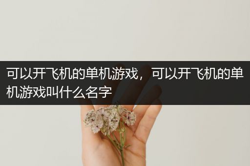 可以开飞机的单机游戏，可以开飞机的单机游戏叫什么名字