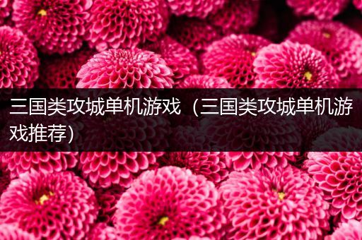 三国类攻城单机游戏（三国类攻城单机游戏推荐）