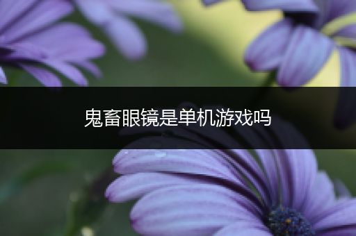 鬼畜眼镜是单机游戏吗