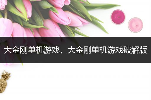 大金刚单机游戏，大金刚单机游戏破解版