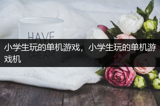 小学生玩的单机游戏，小学生玩的单机游戏机