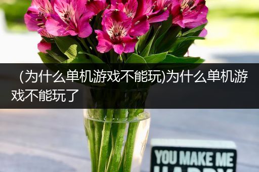 （为什么单机游戏不能玩)为什么单机游戏不能玩了