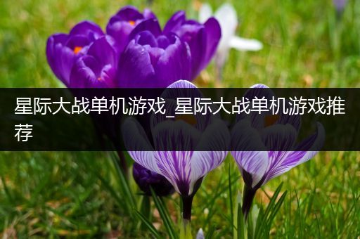 星际大战单机游戏_星际大战单机游戏推荐