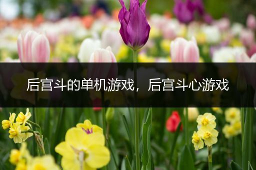 后宫斗的单机游戏，后宫斗心游戏