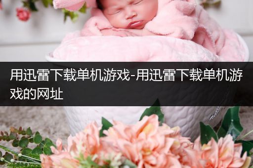 用迅雷下载单机游戏-用迅雷下载单机游戏的网址