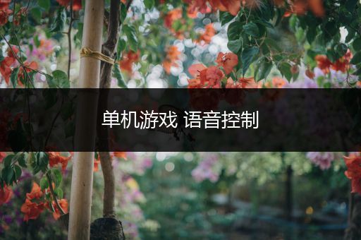 单机游戏 语音控制