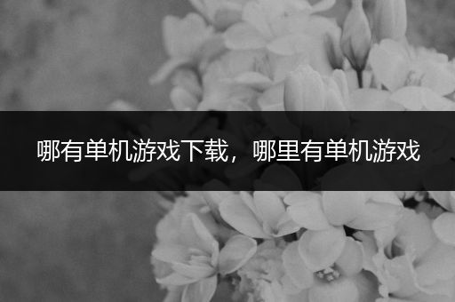 哪有单机游戏下载，哪里有单机游戏