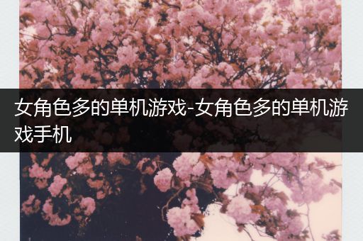 女角色多的单机游戏-女角色多的单机游戏手机