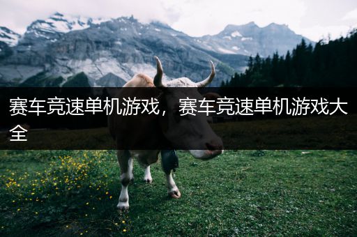 赛车竞速单机游戏，赛车竞速单机游戏大全