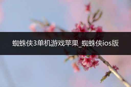 蜘蛛侠3单机游戏苹果_蜘蛛侠ios版