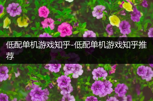 低配单机游戏知乎-低配单机游戏知乎推荐