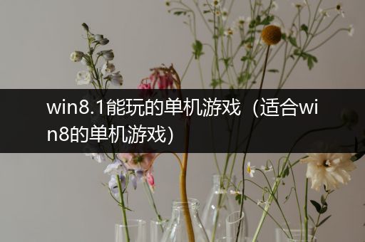 win8.1能玩的单机游戏（适合win8的单机游戏）