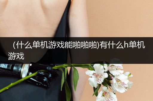（什么单机游戏能啪啪啪)有什么h单机游戏