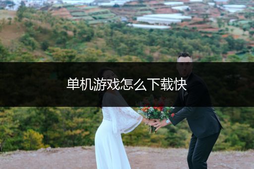 单机游戏怎么下载快