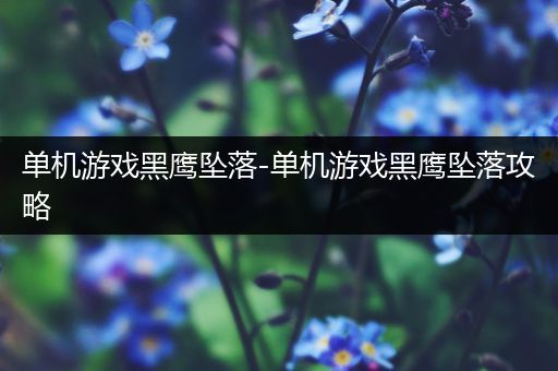 单机游戏黑鹰坠落-单机游戏黑鹰坠落攻略