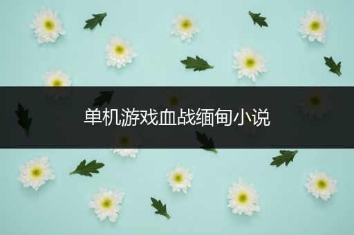 单机游戏血战缅甸小说