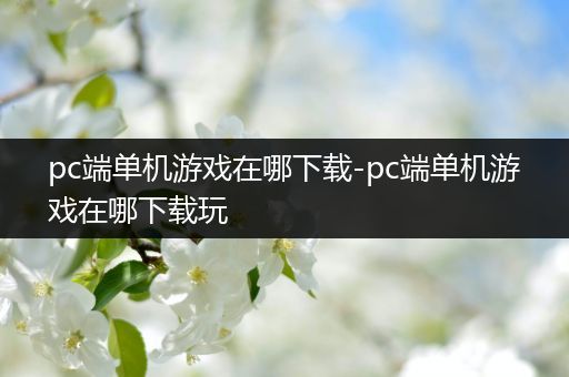 pc端单机游戏在哪下载-pc端单机游戏在哪下载玩