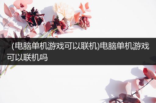 （电脑单机游戏可以联机)电脑单机游戏可以联机吗