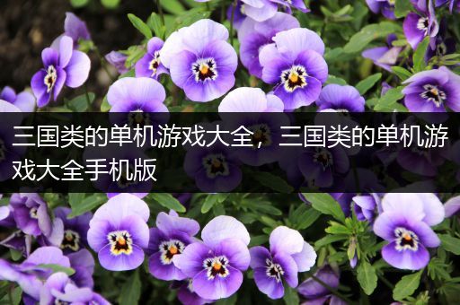 三国类的单机游戏大全，三国类的单机游戏大全手机版