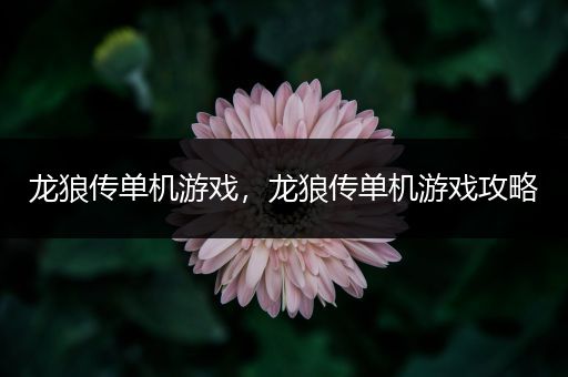 龙狼传单机游戏，龙狼传单机游戏攻略